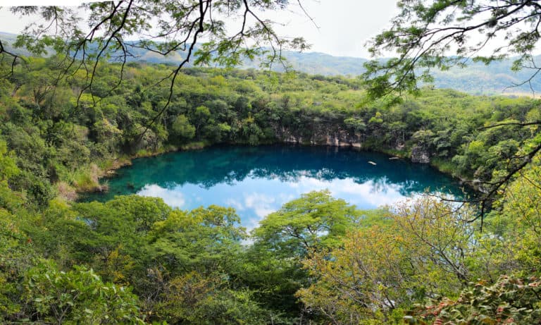 Cenote de Candelaria 1 - Panorama