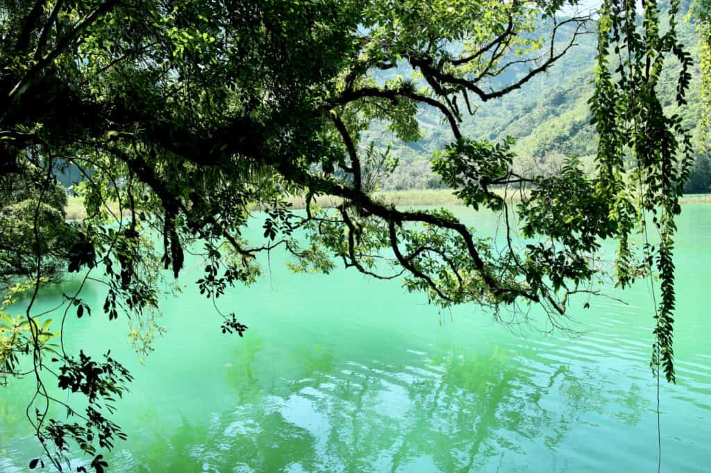 Turquoise Waters of Laguna Brava Yalambojoch