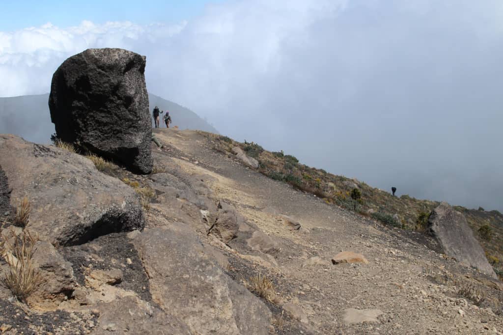 Caminata de día a Acatenango