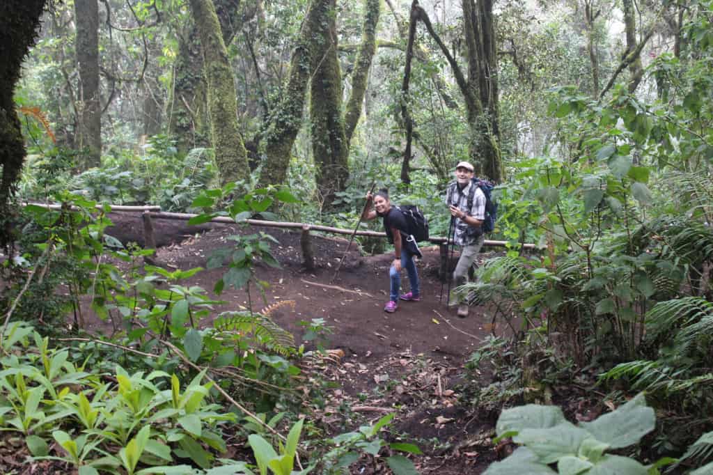 Ivette y Josh en el bosque nuboso de Acatenango
