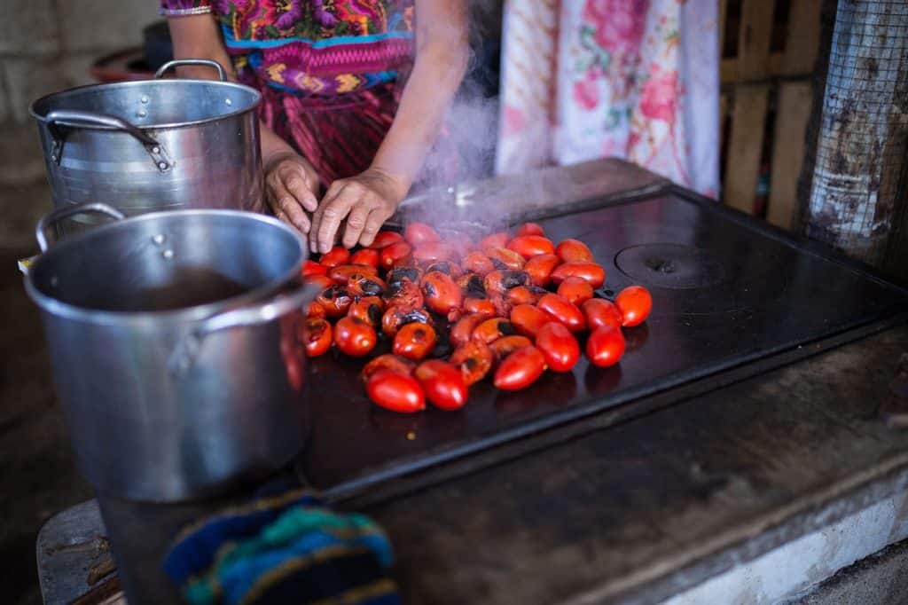 rostizando tomates-Cindy-Parks