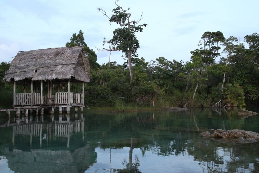 Agua verdoso y una champa en Laguna Lachuá