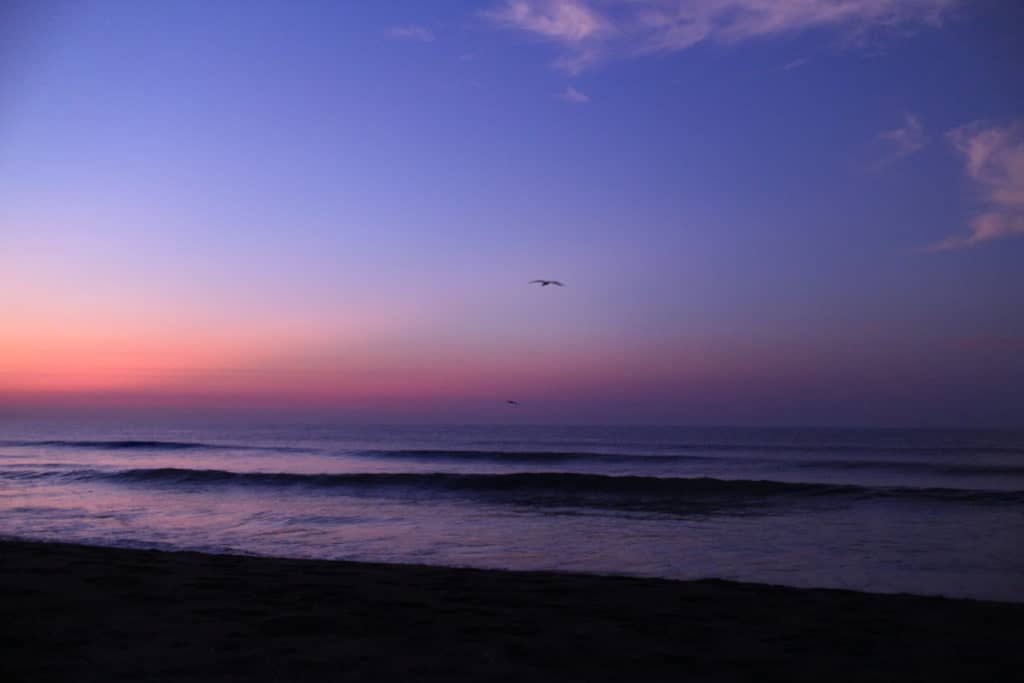 Los pelícanos flotan sobre las olas durante el amanecer en Sipacate
