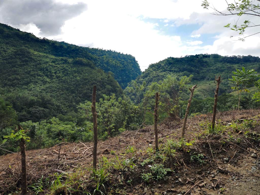 View of the cut in the mountains that is El Boquerón, enroute to Reserva Natural Cañon Seacacar