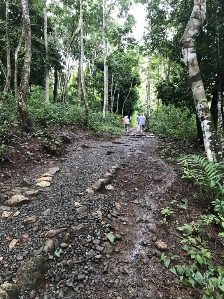 Trail to the hot water waterfall at Finca El Paraíso