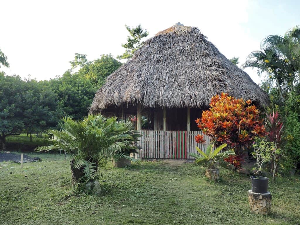 Restaurante en Vivero Frutas del Mundo Buenos Aires Izabal