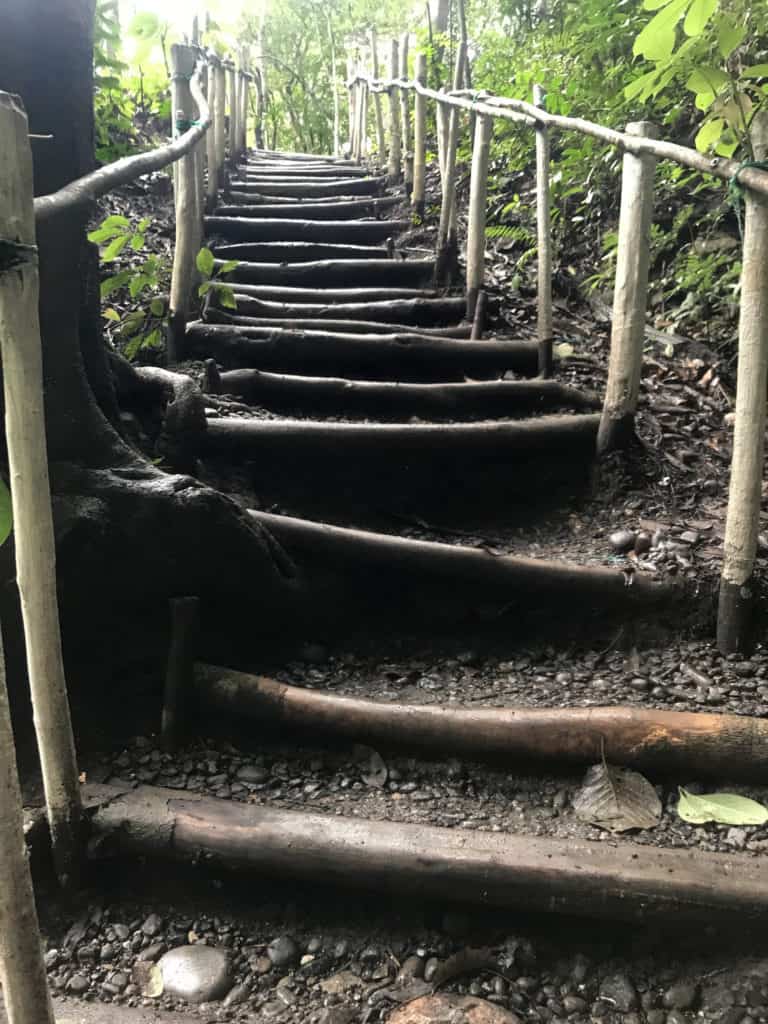 stairway on trail heading back from Cascada El Paraíso