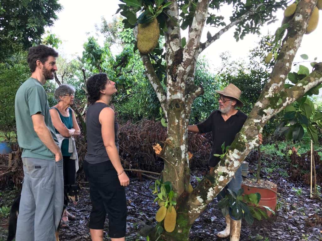 examinando jaca en Vivero Frutas del Mundo Izabal