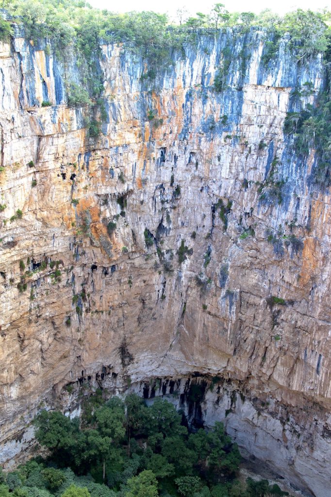 Las profundidades del tiankeng guatemalteco, dolomita de colapso, sumidero. El Hoyo de Cimarrón.