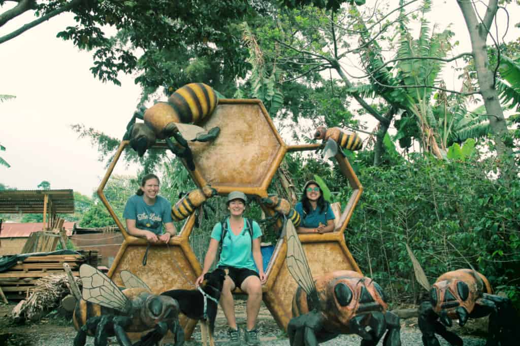 Mundo de Abejas Mayas San Juan la Laguna - Mayan Stingless Melipona Bees