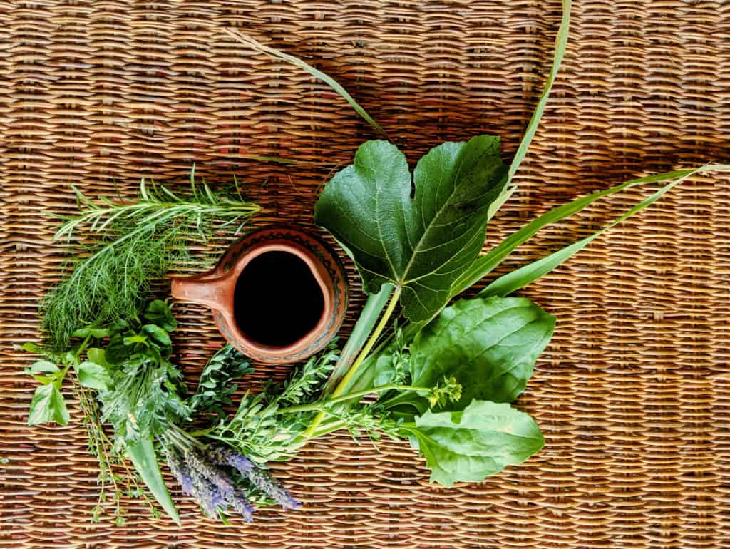 Plantas medicinales de Guatemala - Hacer un tour de plantas medicinales es una de las cosas interesantes que hacer en San Juan la Laguna Guatemala