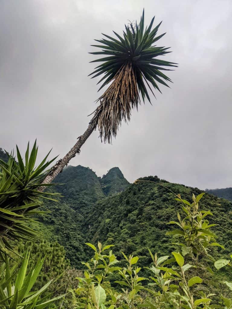 Senderismo en Santa Cruz la Laguna