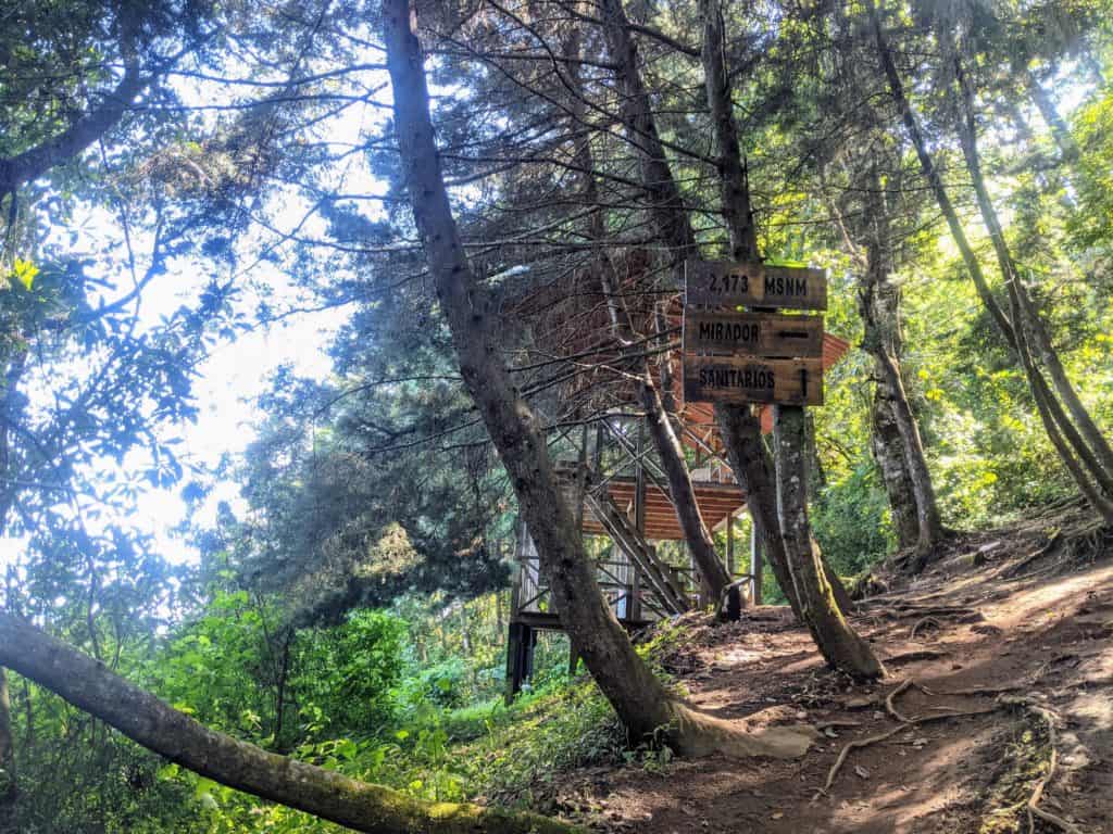 Primer Mirador en el ascenso al Volcán San Pedro