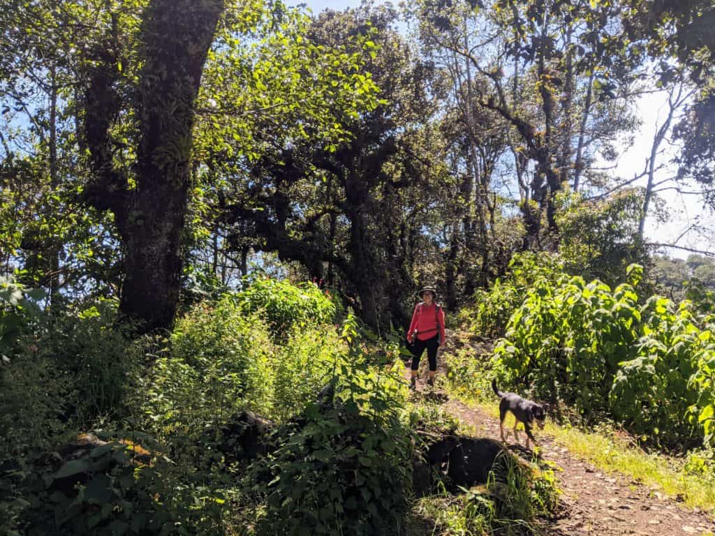 vereda en volcán San Pedro, lago de Atitlán