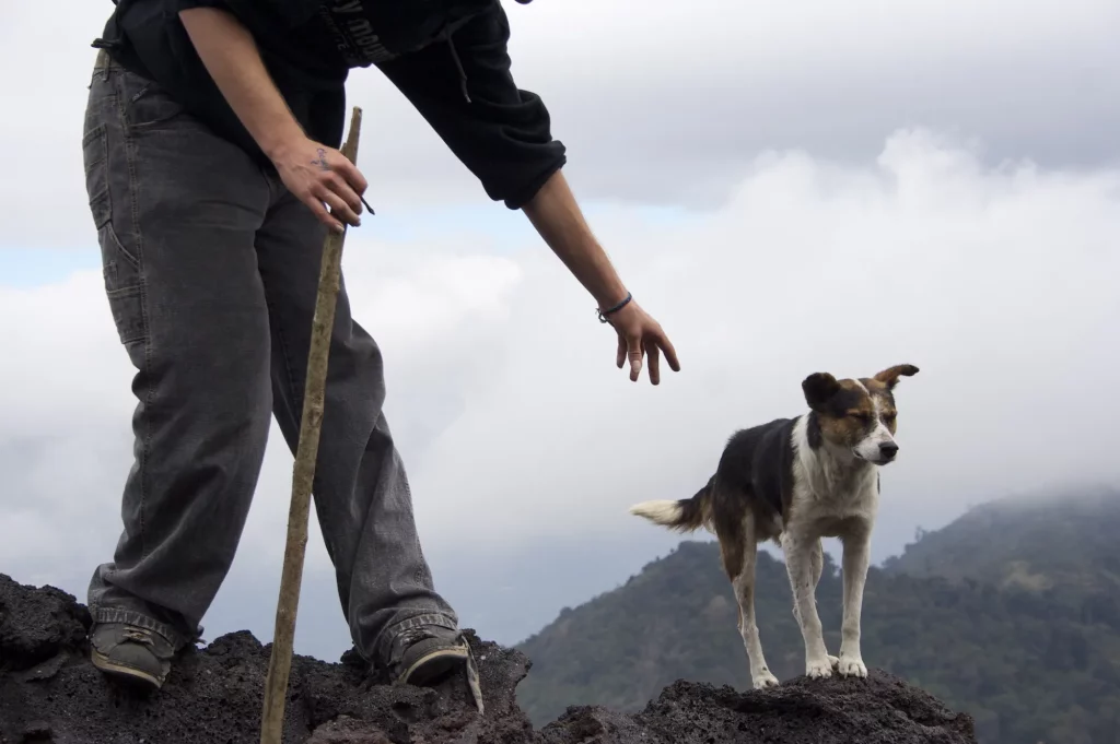 Pasando el rato con un perro local en un de los tours al Volcan de Pacaya desde Antigua
