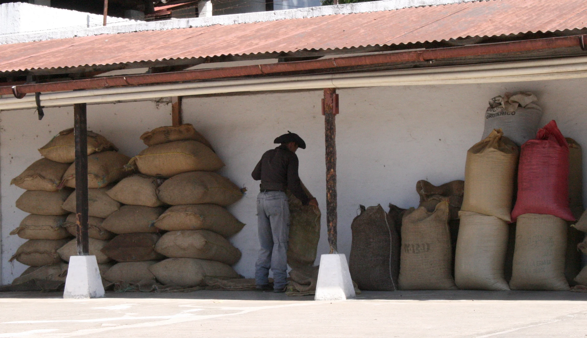 Man on Guatemala Coffee Farm