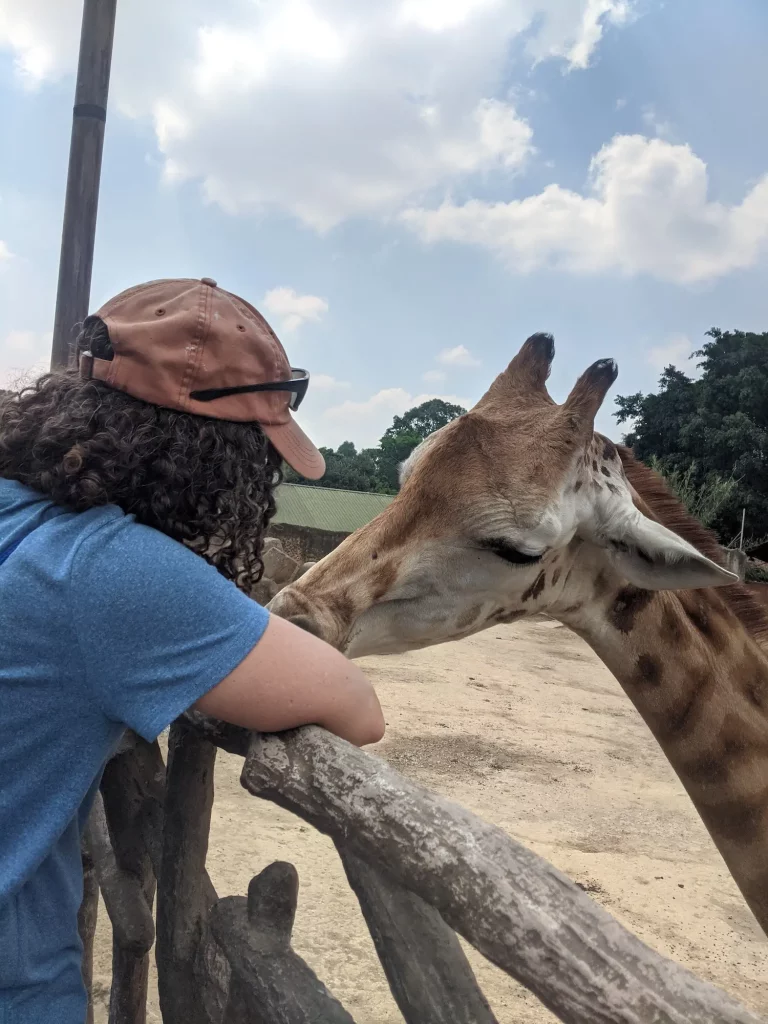 Woman feeding a giraffe at La Aurora Zoo in Guatemala City