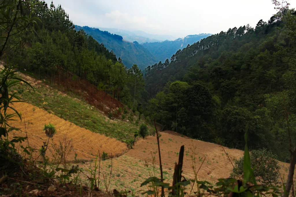 Dramatic Valleys and forested slopes