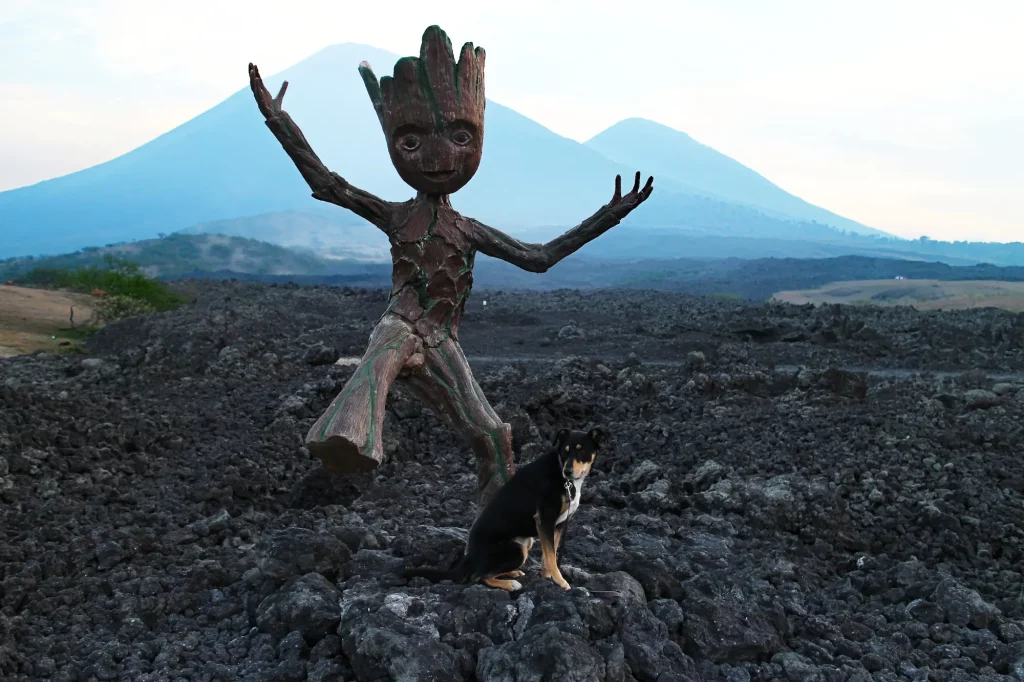 Mi perra Lily posando junto al bebé Groot con el volcán Pacaya y los flujos de lava de fondo