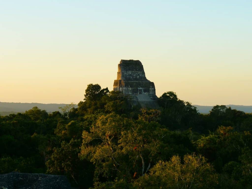 Soft sunset light highlights the top of a temple peaks from the tops of the trees in Tikal National Park. Tikal tours from Flores are a prime way to experience the park.