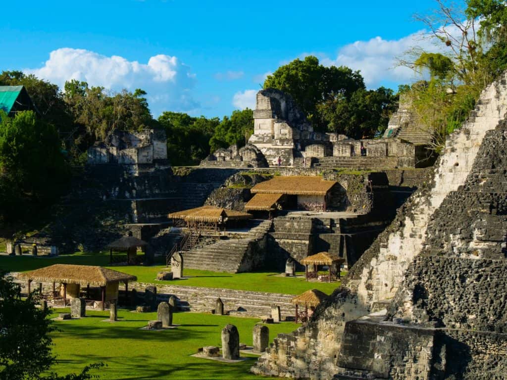 The white and gray structures of the ruins of Tikal National Park contrasting against the green grass, darker jungle foliage, and brilliant blue sky.